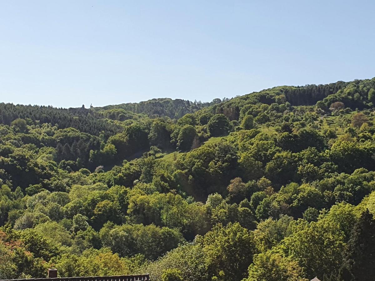 Die Gruene Oase Am Rheinsteig 2 Zkbuwc Neuwied Exterior foto